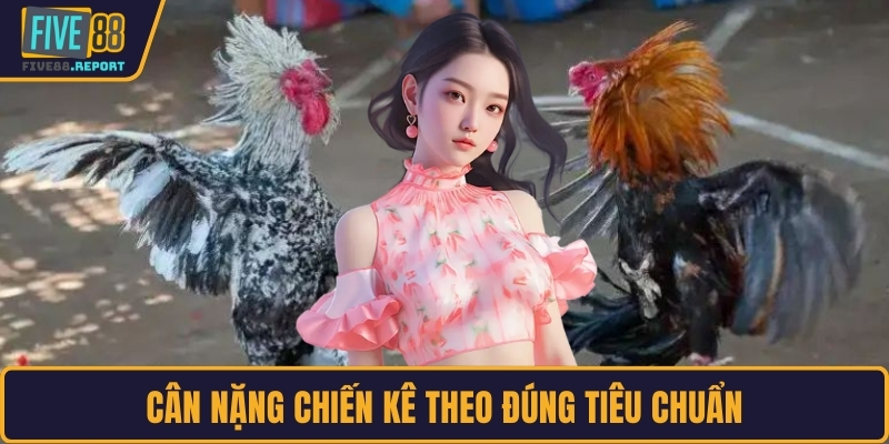 Cân nặng chiến kê theo đúng tiêu chuẩn