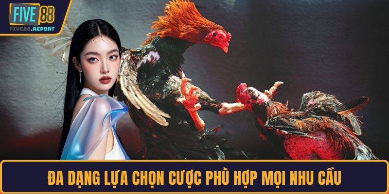 Đa dạng lựa chọn cược phù hợp mọi nhu cầu