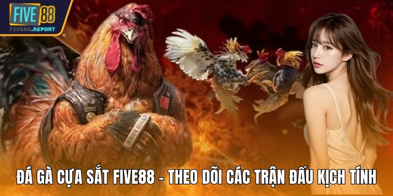Đá gà cựa sắt FIVE88
