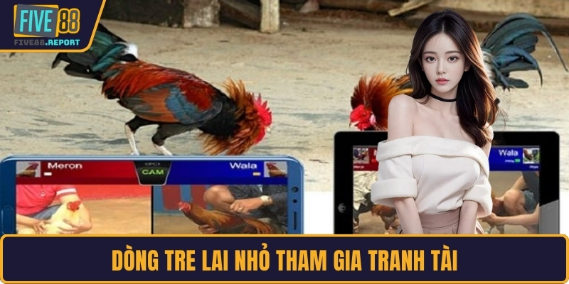 Dòng Tre lai nhỏ tham gia tranh tài