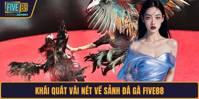 Khái quát vài nét về sảnh đá gà FIVE88
