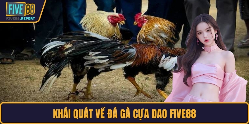 Khái quát về đá gà cựa dao FIVE88