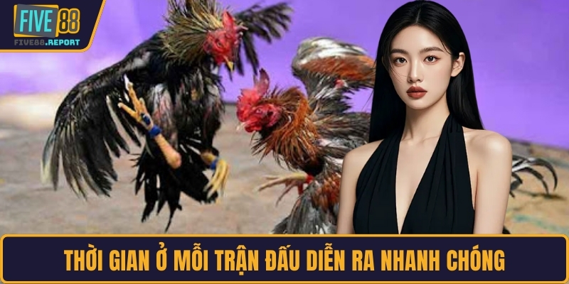 Thời gian ở mỗi trận đấu diễn ra nhanh chóng